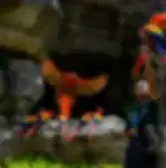 Singapore Zoo, Bird Paradise on Private Basis